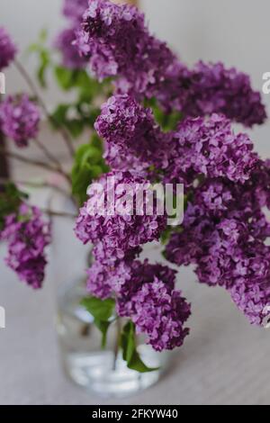 Bouquet of fresh lilacs in a glass vase Stock Photo