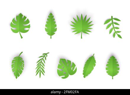 Set of summer tropical leaves in paper cut style. Craft jungle plants collection on white background. Vector card illustration in paper cutting art Stock Vector