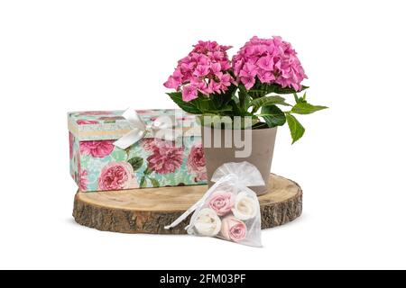 Still life with romantic floral gifts. Stock Photo