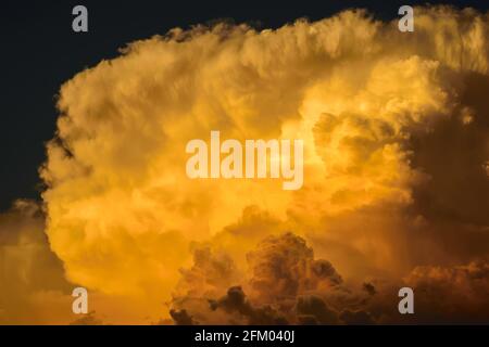 Closeup of a growing thunderstorm at sunset Stock Photo