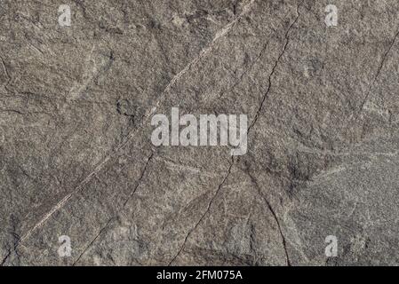 Abstract stone texture background with cracks. Stock Photo
