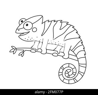 Chameleon Coloring Page For Preschoolers / Hedgie S Desk Chameleon