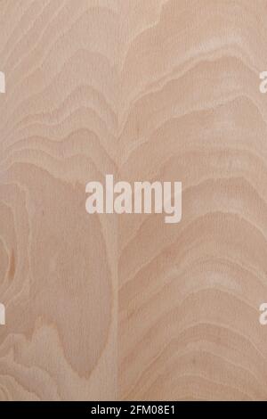 Texture of wooden board, Background of wood surface Stock Photo