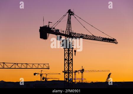 Cranes stand out against a dawn sky in Marseille, seen from the sea. Provence, France Stock Photo