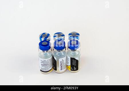 Vanguard Plus 5/CVL vaccine on white. Vaccine for animals by Pfizer, USA. Intended for vaccination of dogs against plague, infectious hepatitis, coron Stock Photo
