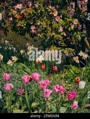 Forde Abbey and Gardens, Chard, Somerset Stock Photo