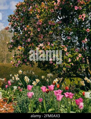 Forde Abbey and Gardens, Chard, Somerset Stock Photo