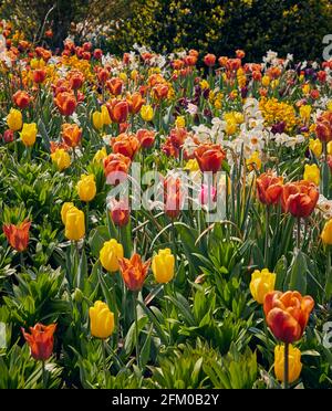 Forde Abbey and Gardens, Chard, Somerset Stock Photo