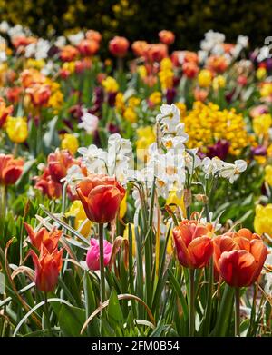 Forde Abbey and Gardens, Chard, Somerset Stock Photo