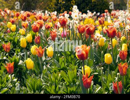 Forde Abbey and Gardens, Chard, Somerset Stock Photo