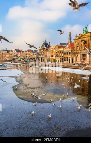 Teylers Museum old building along the frozen canal of Spaarne river, Haarlem, Amsterdam, North Holland, The Netherlands Stock Photo