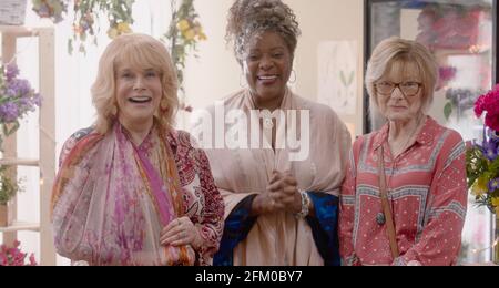 RELEASE DATE: June 11 2021 TITLE: Queen Bees STUDIO: Astute Films DIRECTOR: Michael Lembeck PLOT: It's never too late to laugh with friends, to fall in love again and to put the 'mean girls' in their place. STARRING: Ann-Margret, Loretta Devine and Jane Curtin. (Credit Image: © Astute Films/Entertainment Pictures) Stock Photo