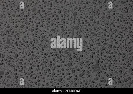 Large drops of water on plastic film after rain. Stock Photo
