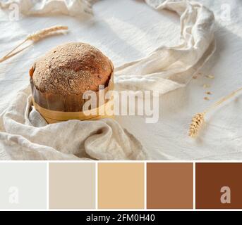 Color matching palette from Dinkelbrot in German that means spelt. Loaf of wholemeal dinkel rye bread. Dinkel or Spelt is healthy alternative to wheat