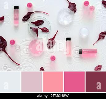 Color matching palette from acrobiotic food background. Red beet baby leaves. Nutrition value, quality control. Chemical laboratory tubes, pink, red