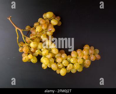 white grapes, still life, black background Stock Photo