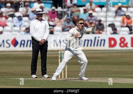 Dom Bess in bowling action for Somerset during Essex CCC vs Somerset CCC, Specsavers County Championship Division 1 Cricket at The Cloudfm County Grou Stock Photo