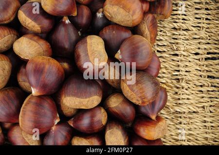 Fresh ripe uncooked Spanish chestnuts in shells background Stock Photo