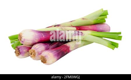 Group of fresh red scallions isolated on a white background Stock Photo