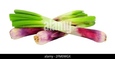 Group of fresh red scallions isolated on a white background Stock Photo