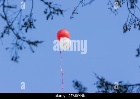 Cologne, Germany. 05th May, 2021. 05 May 2021, North Rhine-Westphalia, Cologne: Balloons in red and white rise into the sky at Willi Herren's funeral service at Melaten Cemetery.  The actor and singer Willi Herren died on April 20. Credit: dpa picture alliance/Alamy Live News Stock Photo