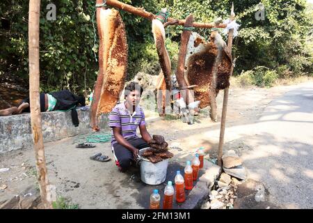 Koya tribal man selling honey also seen in the picture big honey combs at Ananthagiri, Paderu Div, Araku, Andhra Pradesh, India Stock Photo