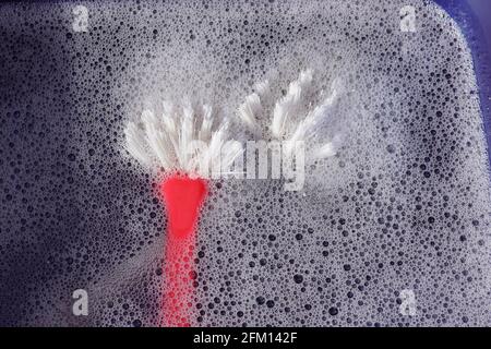 Two Dish Washing Brushes In A Plastic Washing-up Bowl With Soapy Water. March, Netherlands Stock Photo