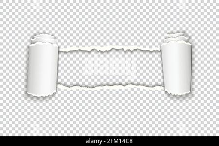 Torn paper with rolled edge on transparent background with frame for text Stock Vector