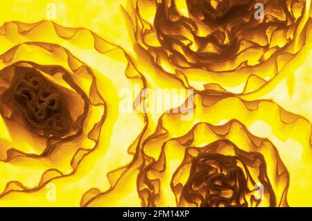 fettuccini noodles in yellow backlight lighting extreme close up view Stock Photo