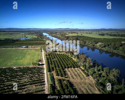 Aerial of citrus orchard growing on the banks of the Burnett River Mt Lawless Queensland Australia Stock Photo