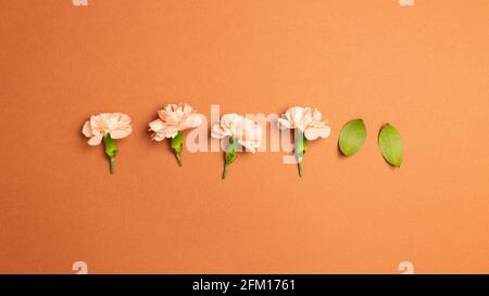 Carnation flowers on red brown background. flat lay, top view, copy space Stock Photo