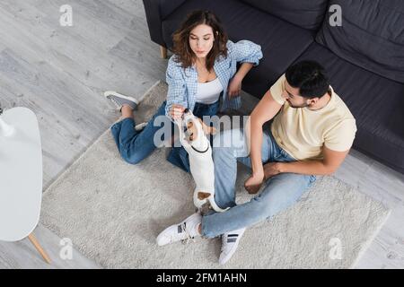 top view of interracial couple and jack russell terrier in living room Stock Photo