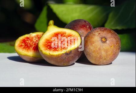 Close up of fresh ripe Tin fruits, Fig fruits, in shallow focus. The Scientific name of this fruits is Ficus carica, a species of flowering plant in t Stock Photo