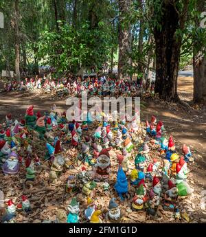 Tourist attraction collection of garden gnomes at Gnomesville in Ferguson Valley Western Australia. Stock Photo