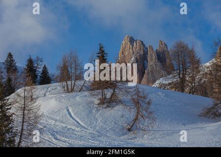 Snow-covered hill with larch and pine trees behind which Dolomite spiers emerge Stock Photo