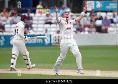 Peter Siddle of Essex appeals for the wicket of George Bartlett during Essex CCC vs Somerset CCC, Specsavers County Championship Division 1 Cricket at Stock Photo