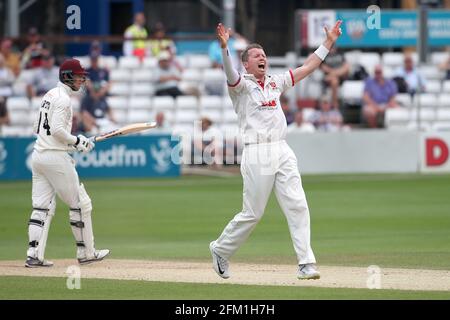 Peter Siddle of Essex appeals for the wicket of George Bartlett during Essex CCC vs Somerset CCC, Specsavers County Championship Division 1 Cricket at Stock Photo