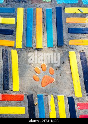 Top view on pieces of multicolored ceramic tiles decorated in garden. Old pavement of tiles textured. Street mosaic cobblestone sidewalk. Abstract,bac Stock Photo