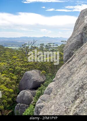 Canopy of karri forest on Porongurup range seen from Castle Rock Walk Trail in the Porongurup National Park near Albany Western Australia. Stock Photo