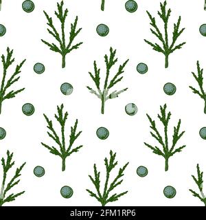 Hand drawn seamless pattern with green juniper branches with berries isolated on white background. Vector illustration in sketch style Stock Vector