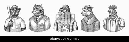 Rooster tennis player. Dog bulldog baseball player. Gorilla monkey astronaut. Tiger doctor in a suit. Cheetah in coat. Fashion animal character Stock Vector