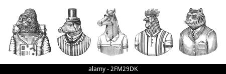 Gorilla monkey astronaut. Pig hairdresser or vitorian gentleman. Horse polo player. Rooster tennis player. Tiger doctor in a suit. Engraved Stock Vector