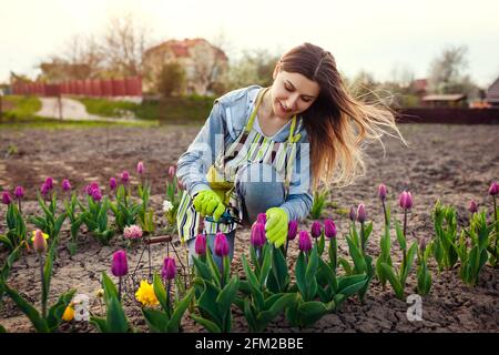 Female Florist With Pruner In Hands Makes Flower Bouquet Floral Business Decoration Tools Stock Photo Alamy