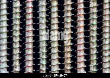 Golden brass steel wood tapping screws galvanized with rainbow tint lined ornamental macro background pattern, lying in a row over black surface Stock Photo