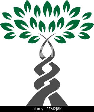 Tree icon  Tree branch design vector illustration template Stock Vector