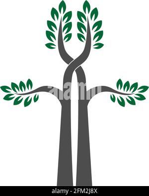 Tree icon  Tree branch design vector illustration template Stock Vector
