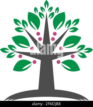 Tree icon  Tree branch design vector illustration template Stock Vector