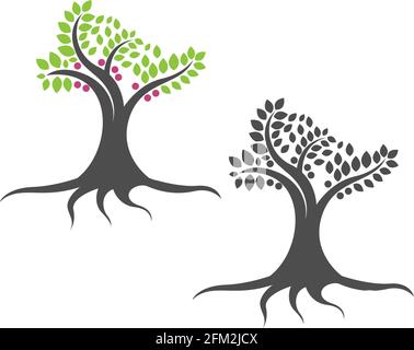 Tree icon  Tree branch design vector illustration template Stock Vector