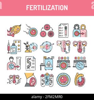 Fertilization color line icons set. Pictogram for web page, mobile app, promo. UI UX GUI design element. Editable stroke. Stock Vector
