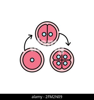 Cell division olor line icon. Pregnancy. Pictogram for web page, mobile app, promo. UI UX GUI design element. Editable stroke. Stock Vector